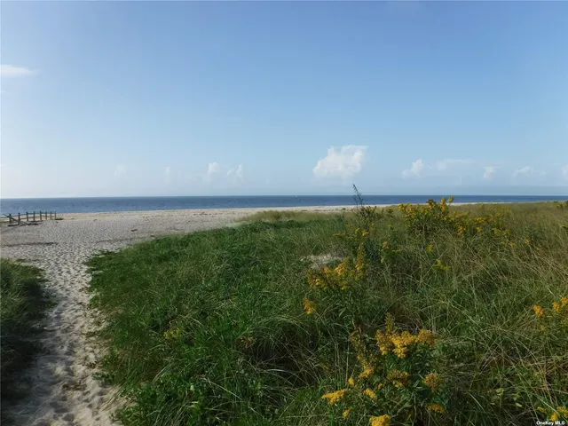 a view of a park with slide