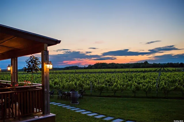 a view of a patio with couches chairs and a yard