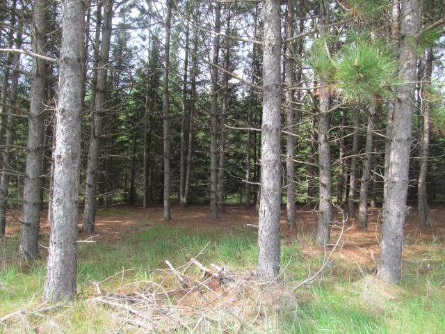 On Jane Spur Road, Unit 81 ACRES Gleason, WI 54435 - Photo 1 of 16 Gallery Image 1