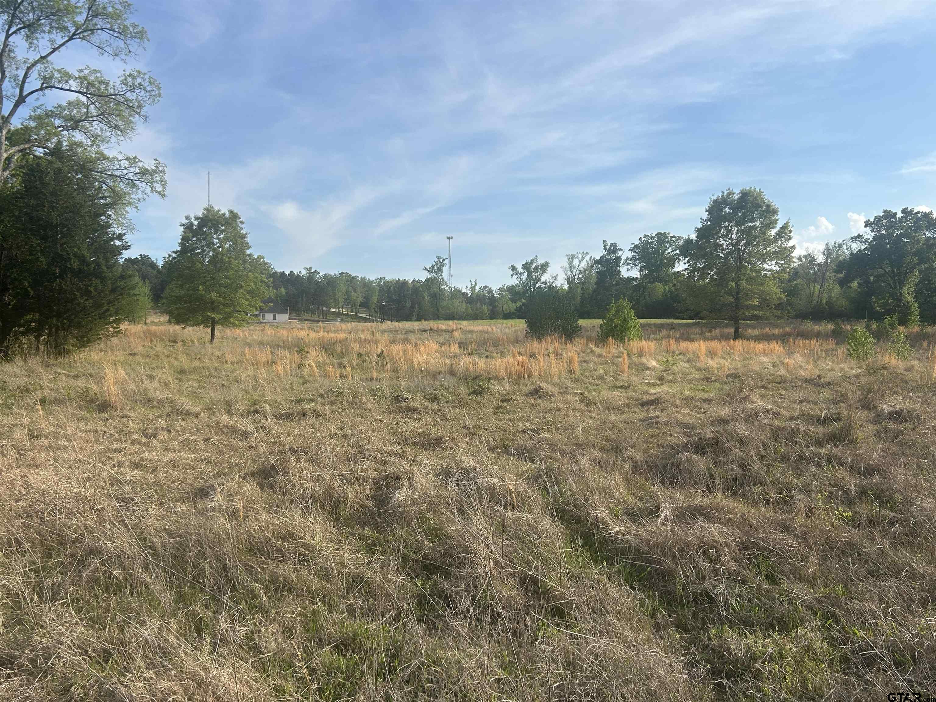 Lot 106 Ridgeline Loop Winona, TX 75792 - Photo 4 of 7