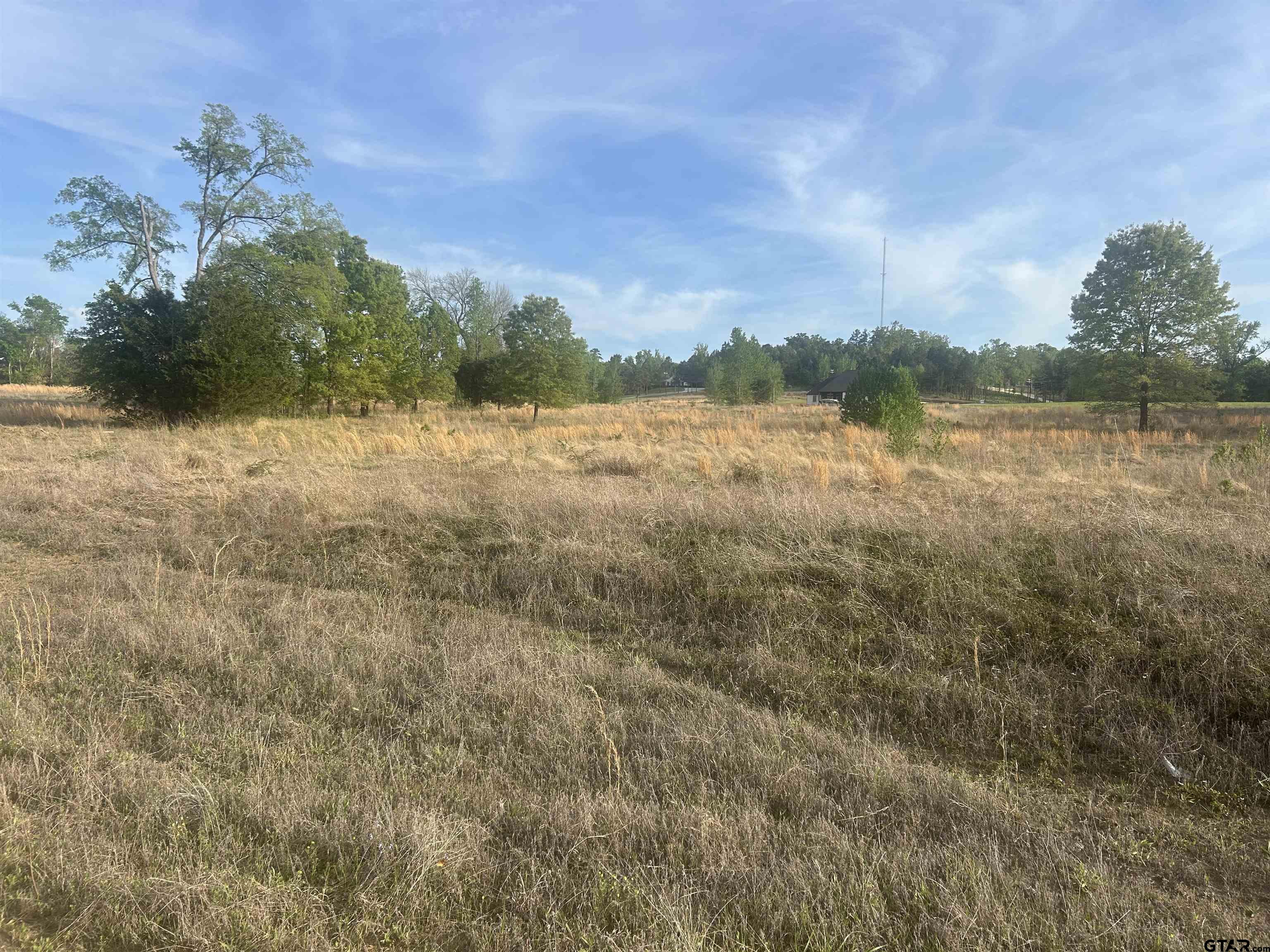 Lot 106 Ridgeline Loop Winona, TX 75792 - Photo 5 of 7