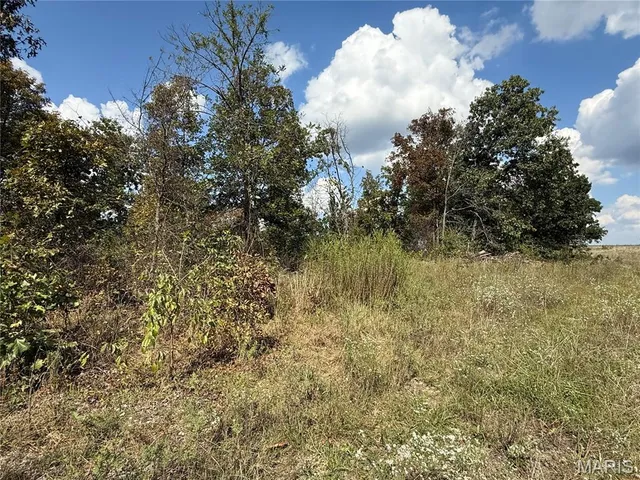 $224,900 | 0 County Road 6160, Edgar Springs, MO 65462