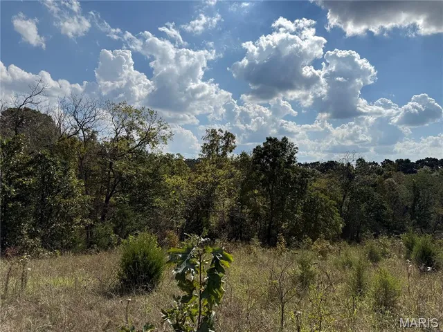 $224,900 | 0 County Road 6160, Edgar Springs, MO 65462