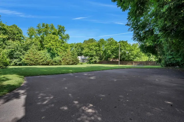 a view of a yard with an tree