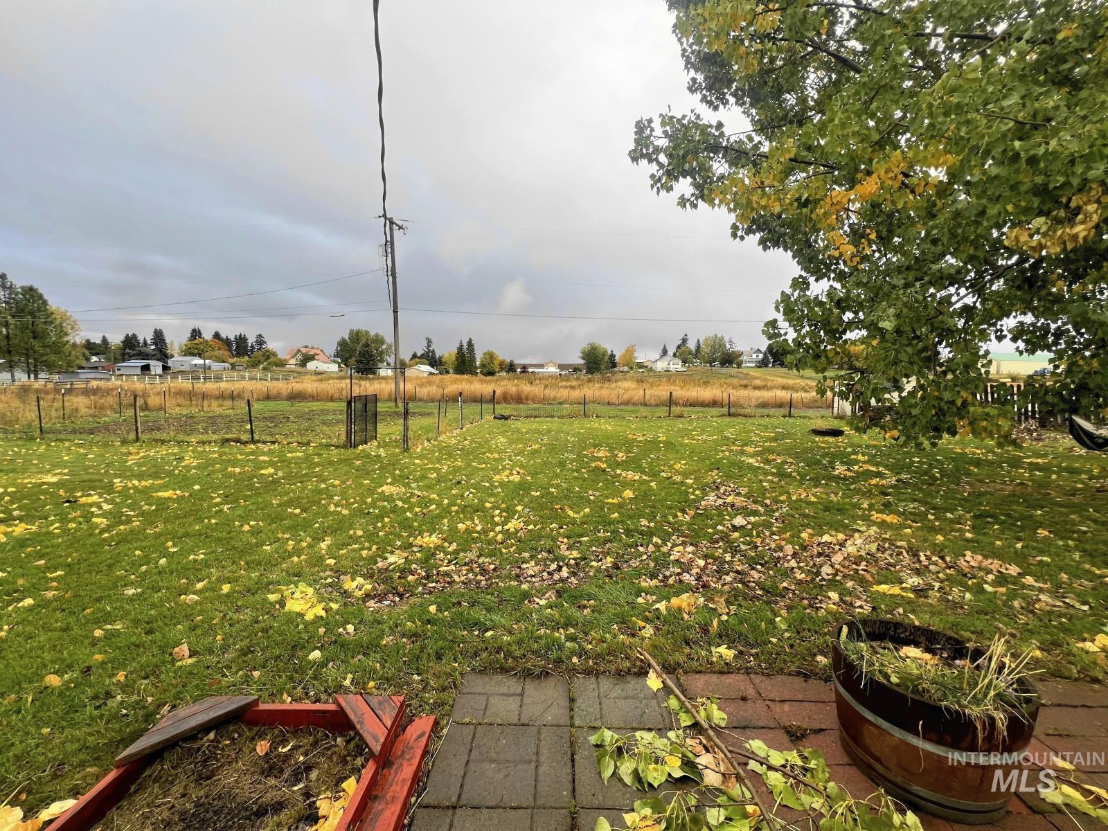 603 Maple Street Nezperce, ID 83543 - Photo 19 of 26 View of yard with a view of countryside