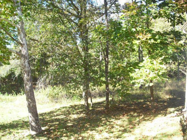 1853 Graves Road Stamping Ground, KY 40379 - Photo 6 of 26 Sun filtering through the trees everywhe