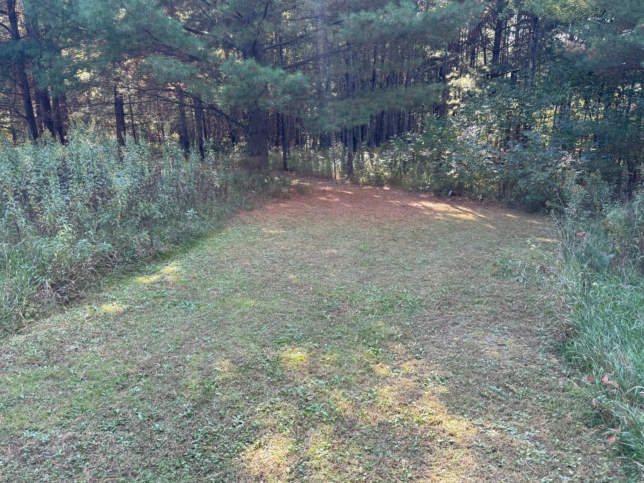 W8578 Sand Road Shell Lake, WI 54871 - Photo 13 of 35