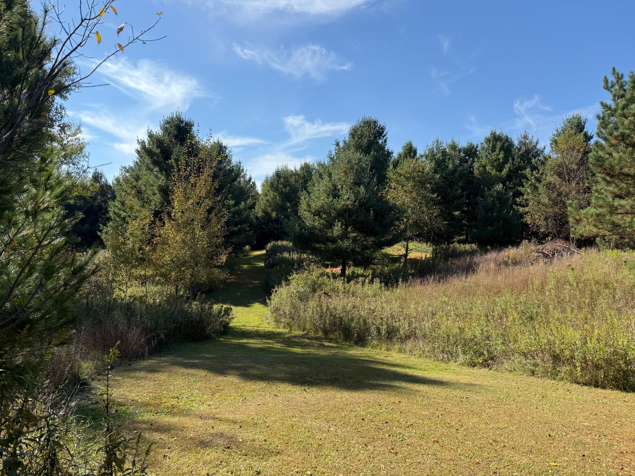 W8578 Sand Road Shell Lake, WI 54871 - Photo 14 of 35