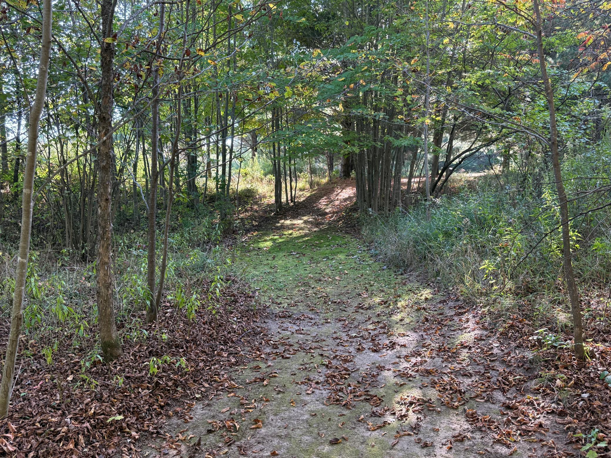 W8578 Sand Road Shell Lake, WI 54871 - Photo 10 of 35