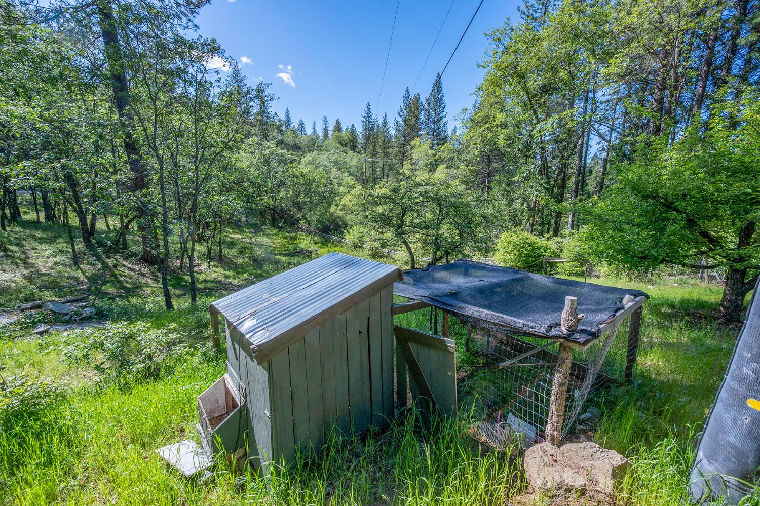 6141 Sweeney Road Somerset, CA 95684 - Photo 65 of 67 Chicken Coop