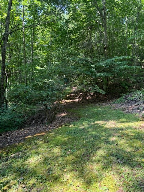Tbd Hunters Ridge Road Dugspur, VA 24325 - Photo 16 of 18 Gallery Image 16