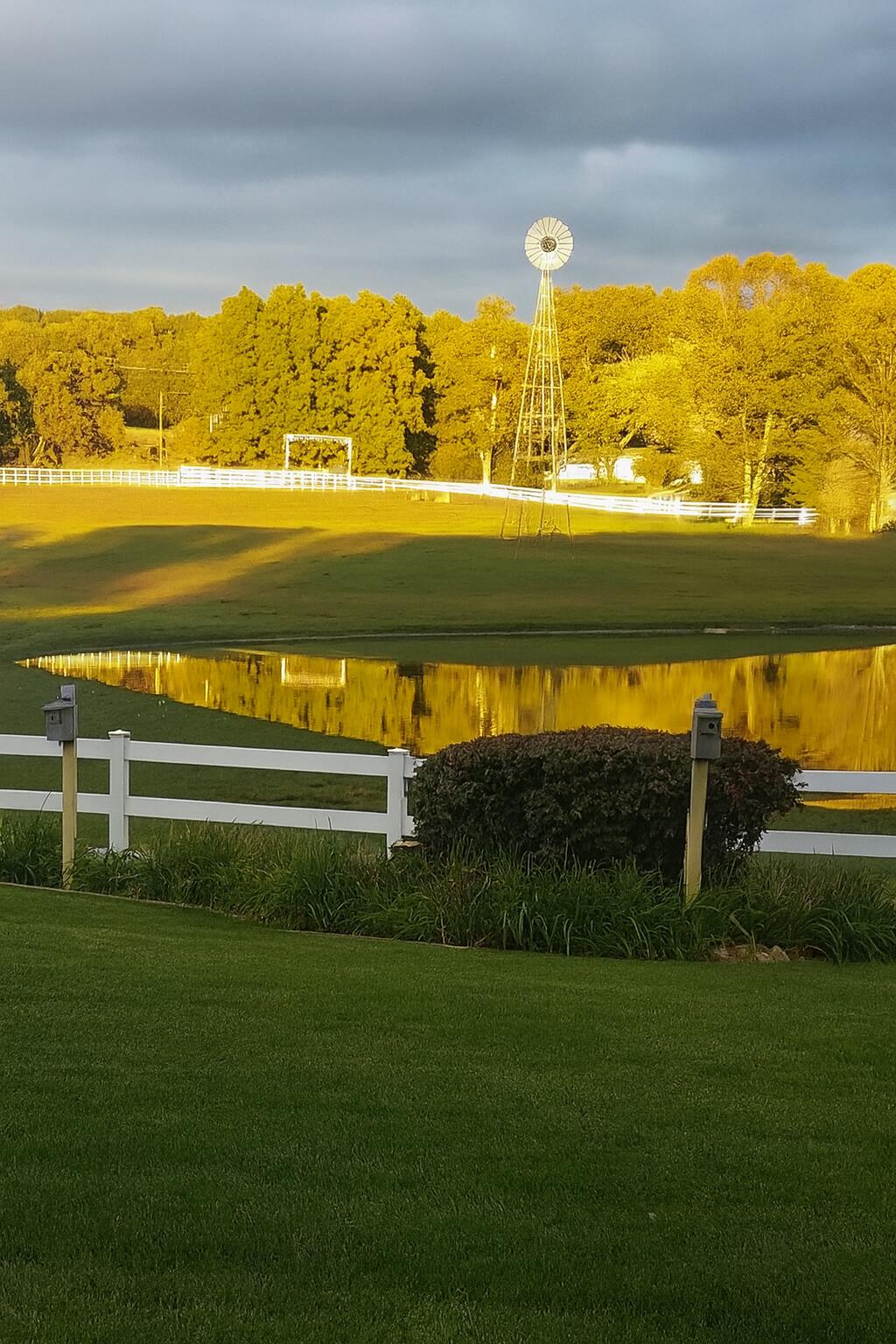 65650 Dailey Road Edwardsburg, MI 49112 - Photo 17 of 59 Think Spring