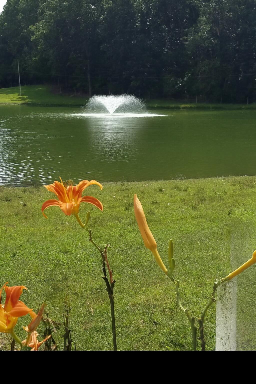 65650 Dailey Road Edwardsburg, MI 49112 - Photo 9 of 59 Think Spring