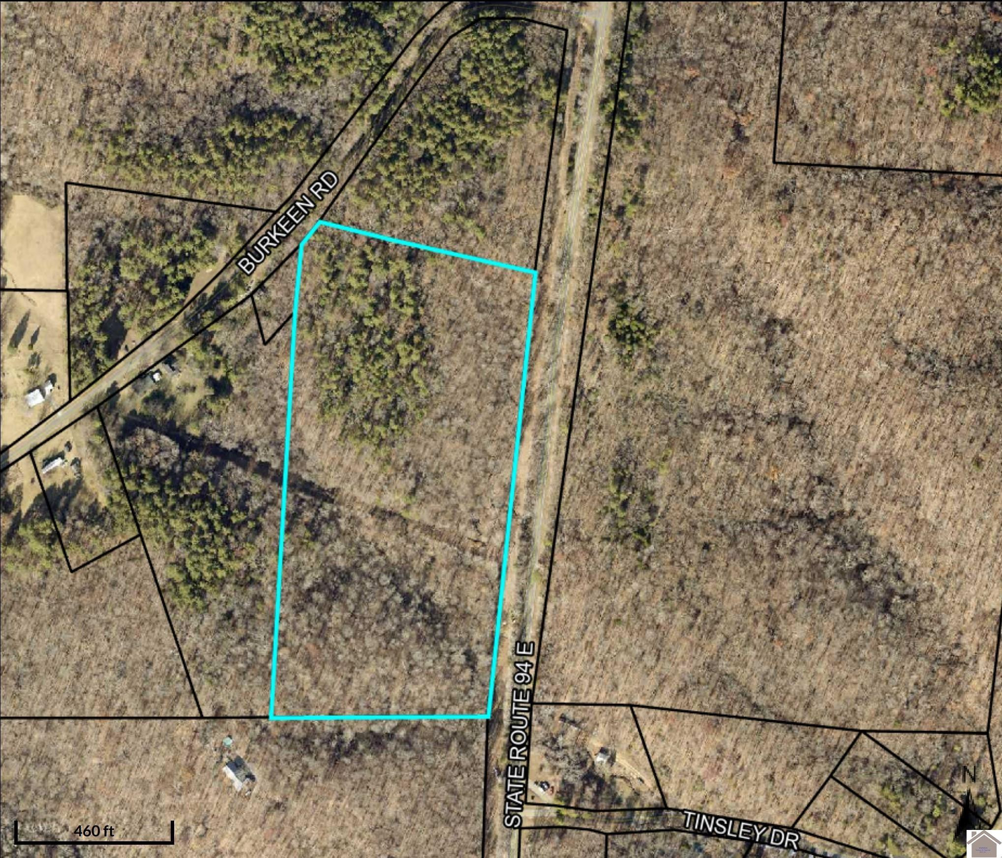 0 Burkeen Road Dexter, KY 42036 - Photo 11 of 11 Photo 11