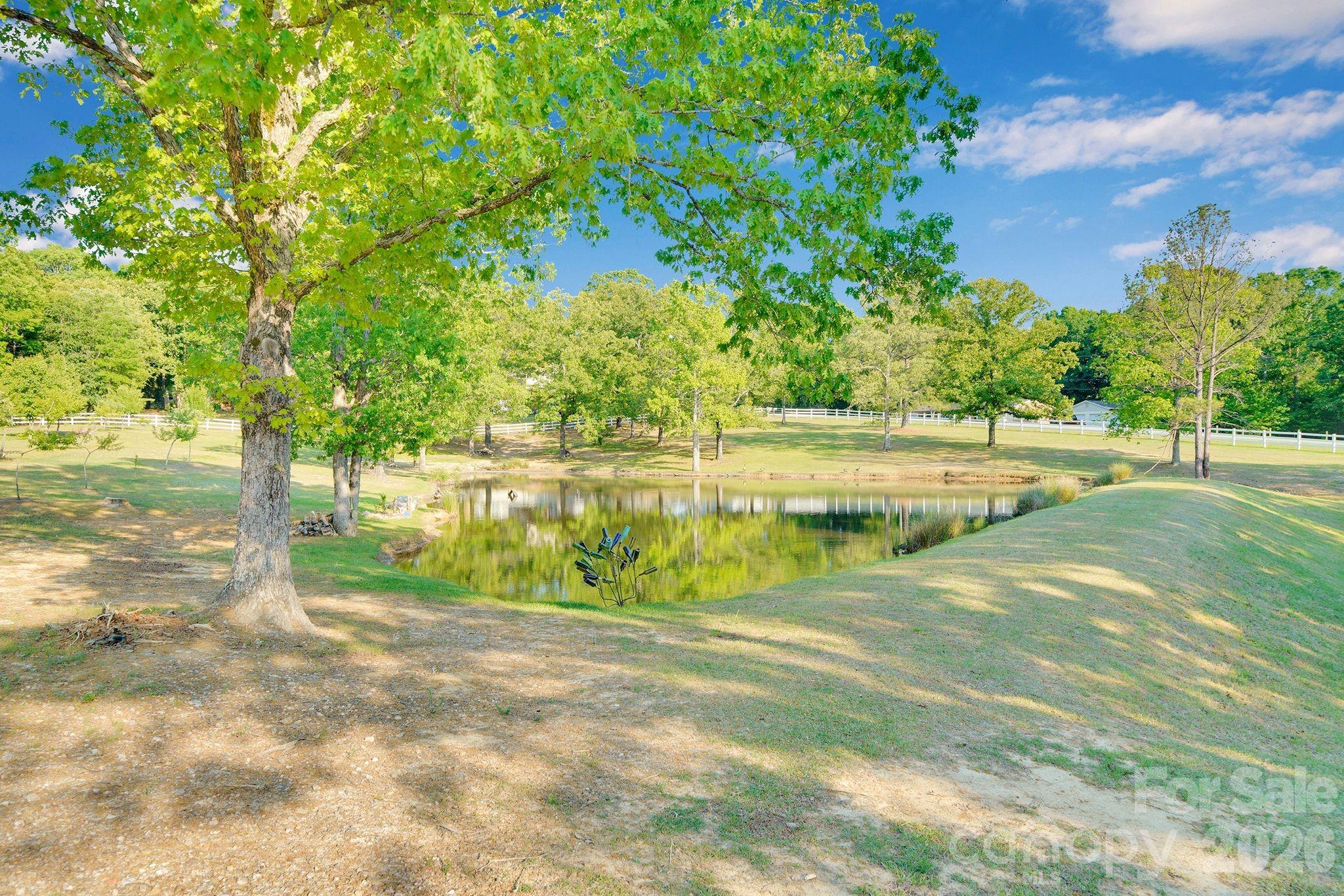 1171 State Rd S-29-376 Lancaster, SC 29720 - Photo 41 of 48 a view of yard with green space