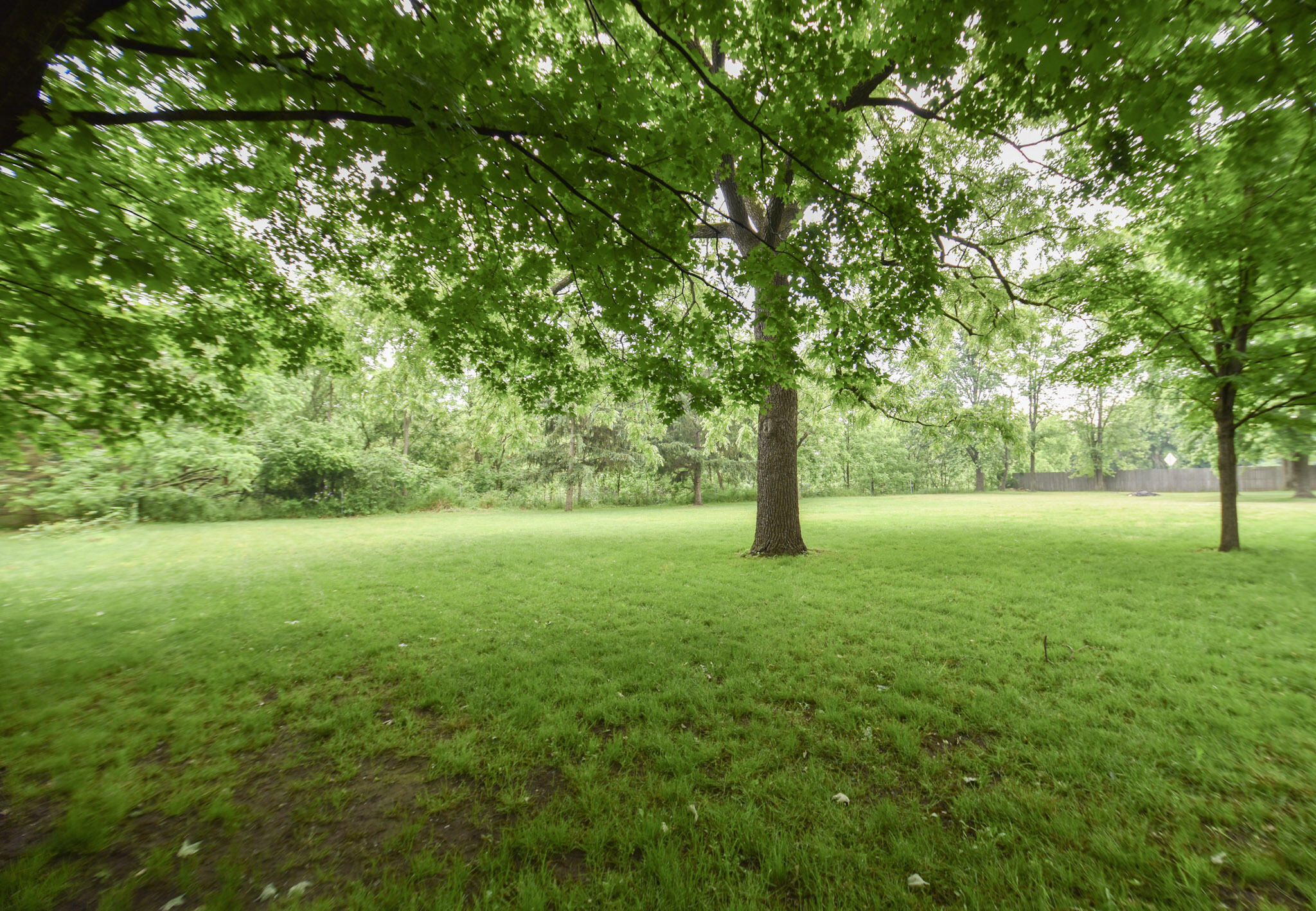 338 South Willowbrook Road Coldwater, MI 49036 - Photo 27 of 27 DSC_0155