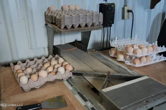 $788,000 | 320 Billy Davis Road, Silver Creek, MS 39663