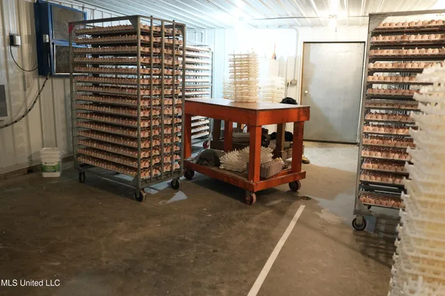 $788,000 | 320 Billy Davis Road, Silver Creek, MS 39663