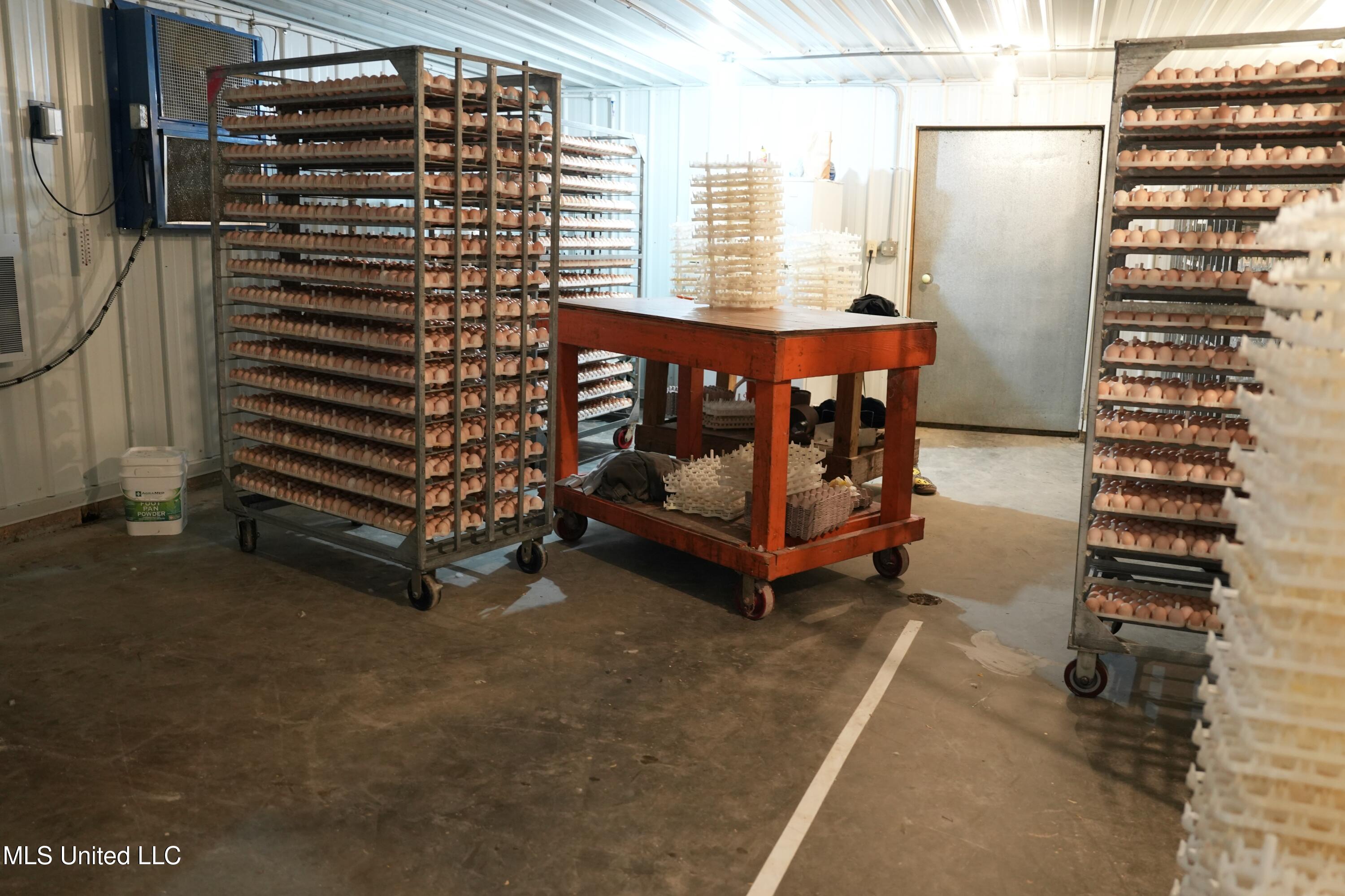 320 Billy Davis Road Silver Creek, MS 39663 - Photo 20 of 34 DSC00198