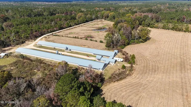 $788,000 | 320 Billy Davis Road, Silver Creek, MS 39663