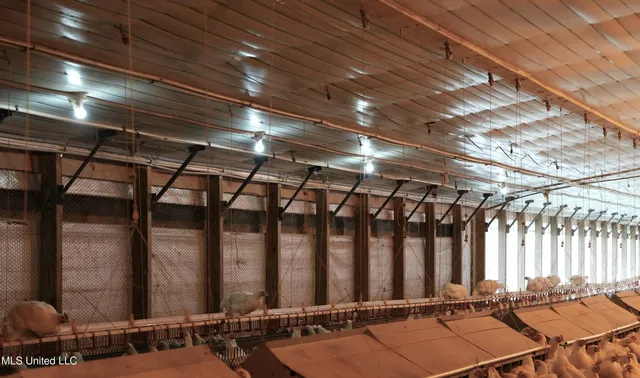 $788,000 | 320 Billy Davis Road, Silver Creek, MS 39663