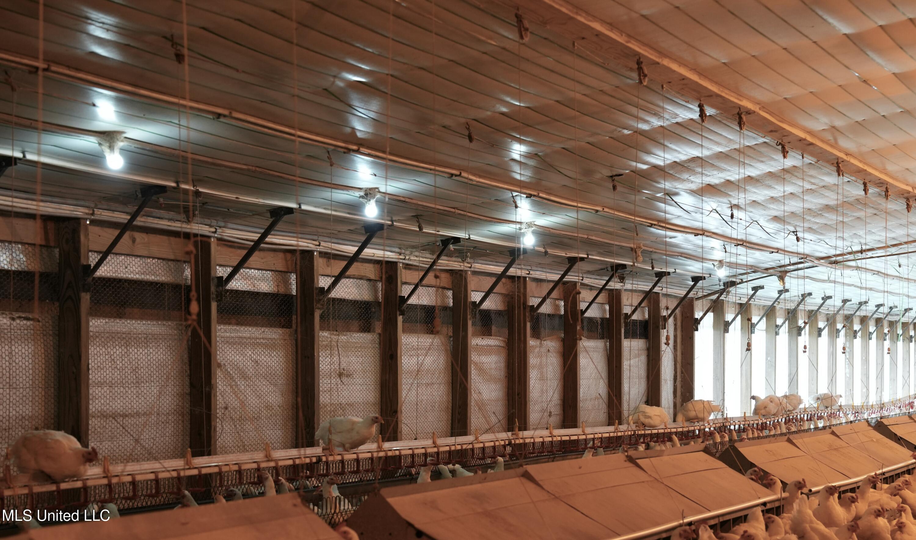 320 Billy Davis Road Silver Creek, MS 39663 - Photo 21 of 34 DSC00188