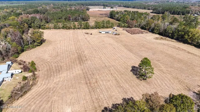 $788,000 | 320 Billy Davis Road, Silver Creek, MS 39663