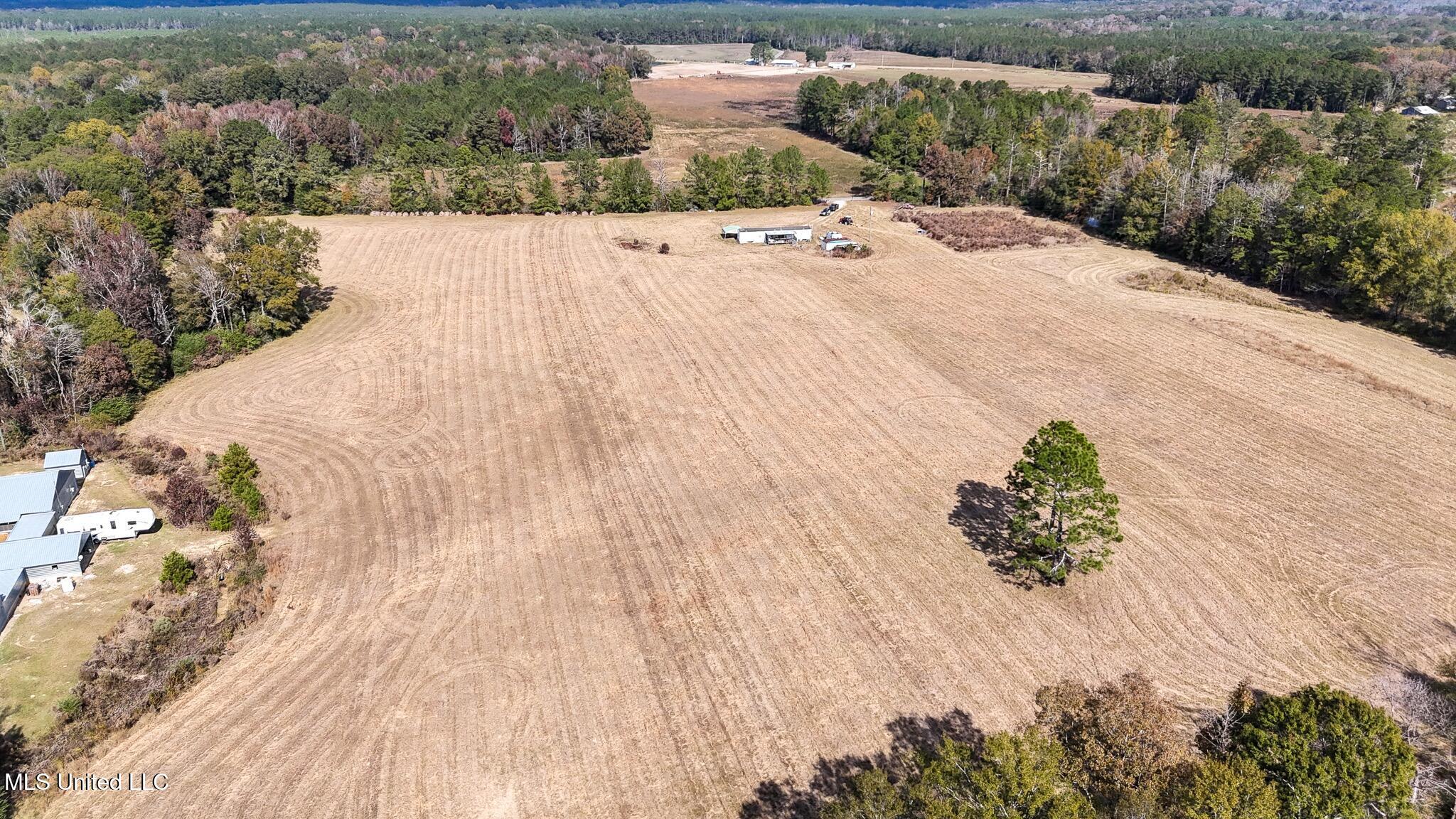 320 Billy Davis Road Silver Creek, MS 39663 - Photo 24 of 34 DJI_20251113115012_0161_D