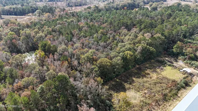 $788,000 | 320 Billy Davis Road, Silver Creek, MS 39663