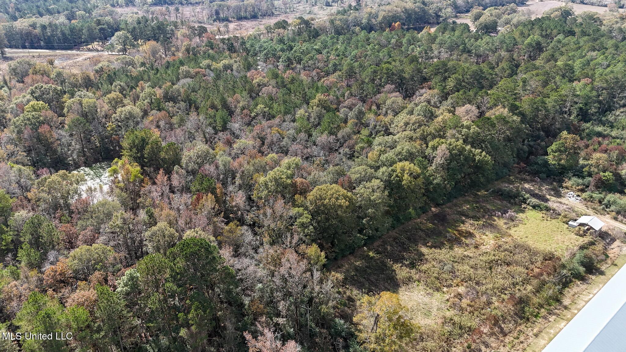 320 Billy Davis Road Silver Creek, MS 39663 - Photo 25 of 34 DJI_20251113115053_0164_D