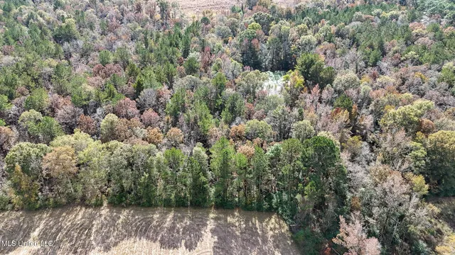 $788,000 | 320 Billy Davis Road, Silver Creek, MS 39663
