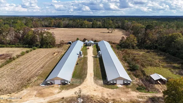 $788,000 | 320 Billy Davis Road, Silver Creek, MS 39663
