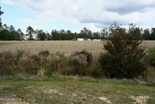 $788,000 | 320 Billy Davis Road, Silver Creek, MS 39663