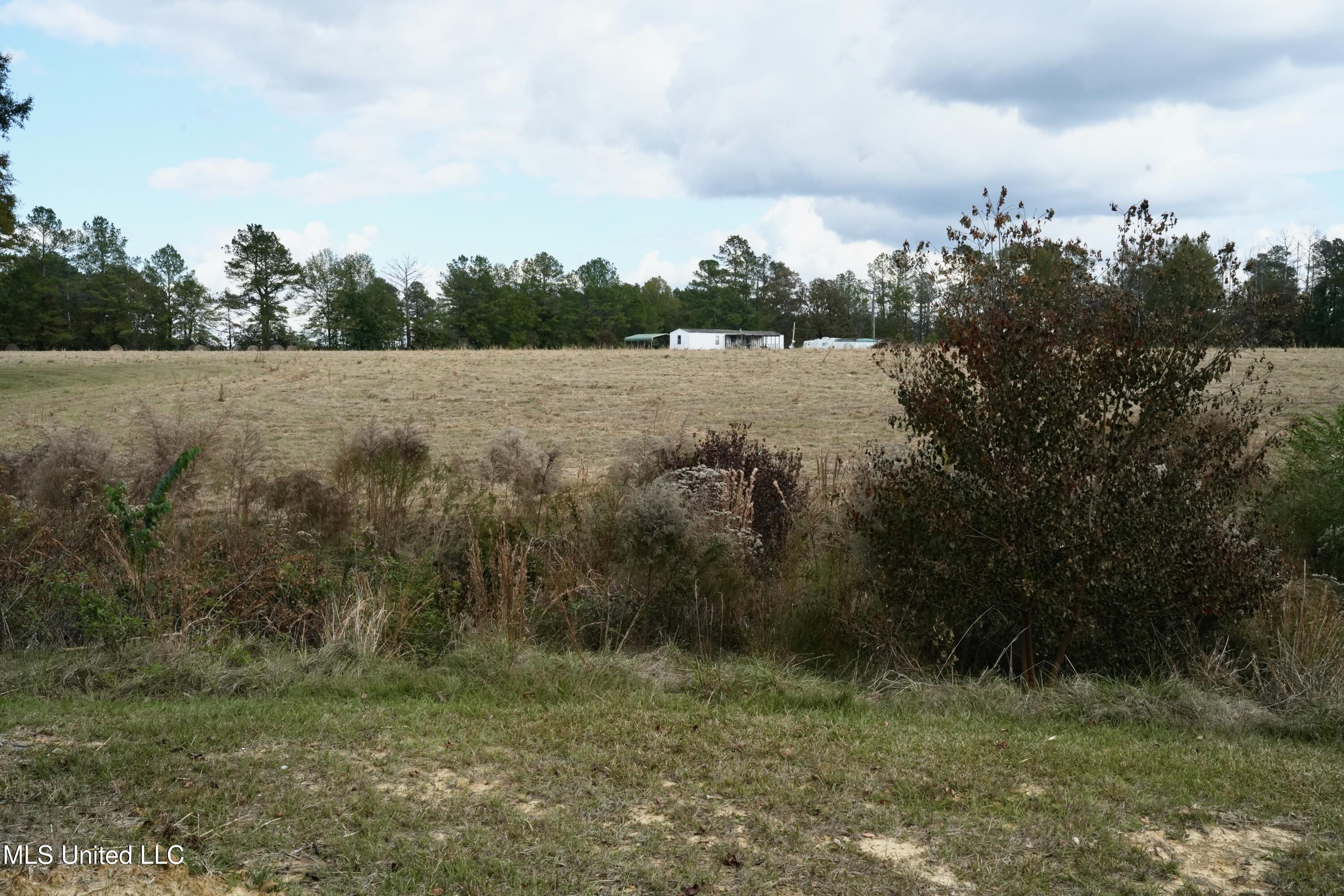 320 Billy Davis Road Silver Creek, MS 39663 - Photo 32 of 34 DSC00163