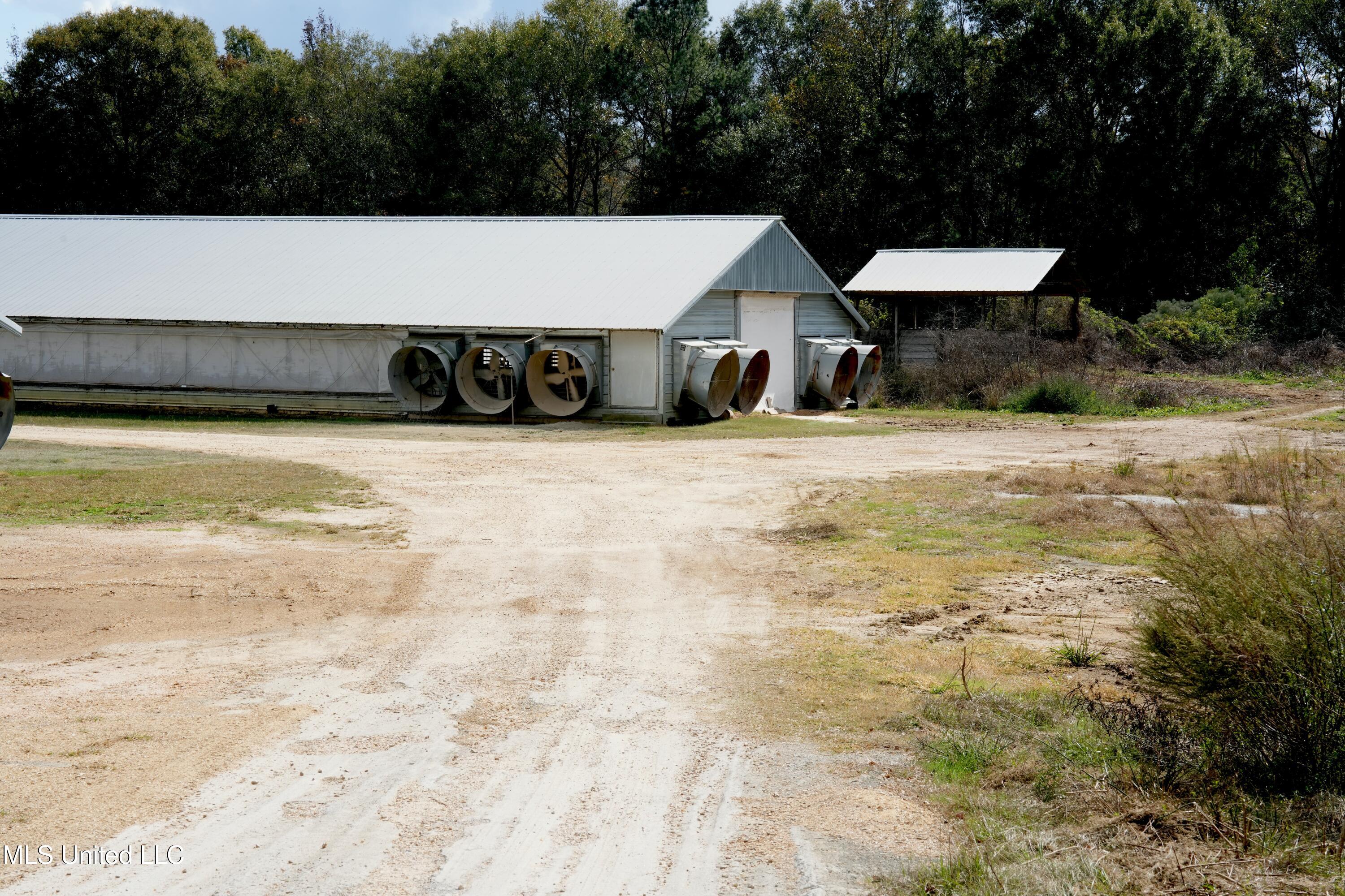 320 Billy Davis Road Silver Creek, MS 39663 - Photo 5 of 34 DSC00116