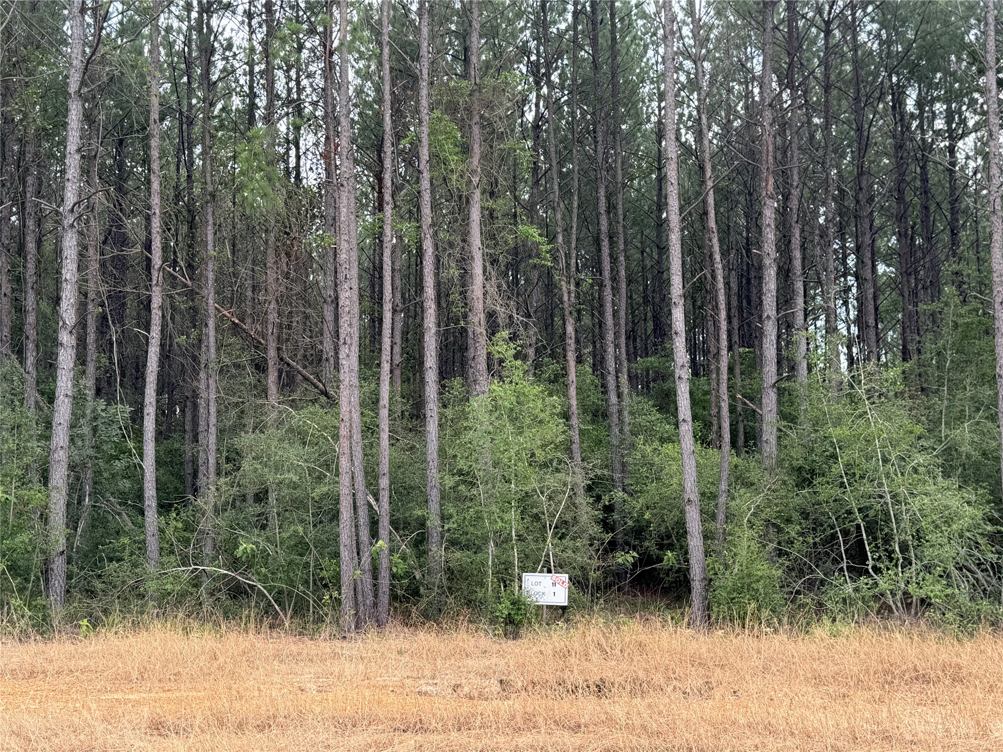 10634 Forest Mill Road Willis, TX 77378 - Photo 2 of 10 Gallery Image 2