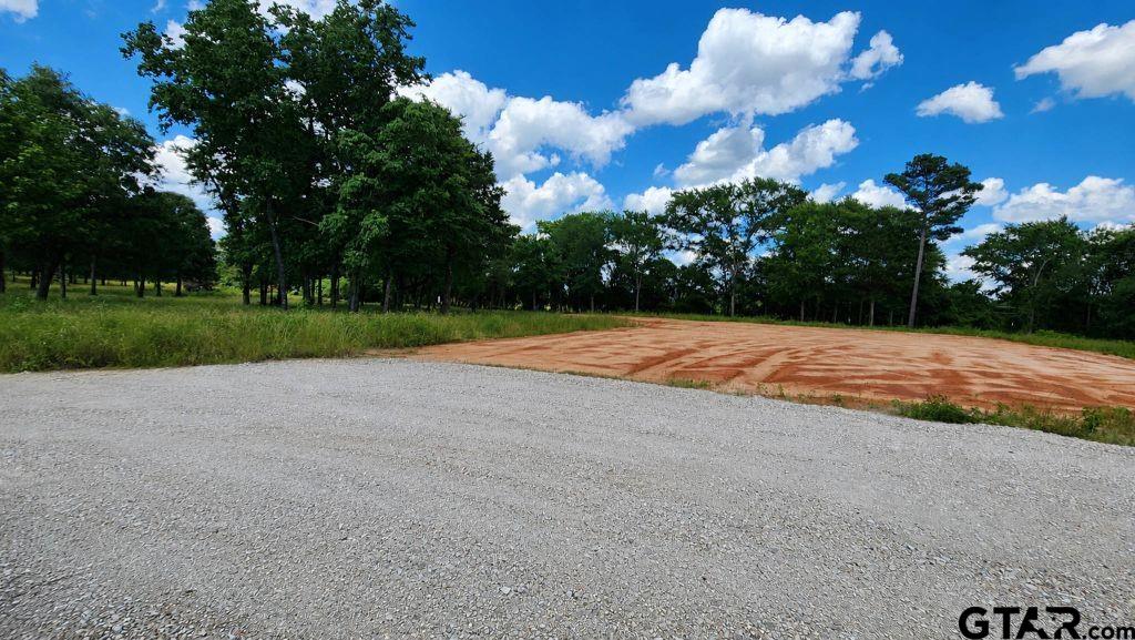 151 Bluewood Road Big Sandy, TX 75755 - Photo 18 of 33