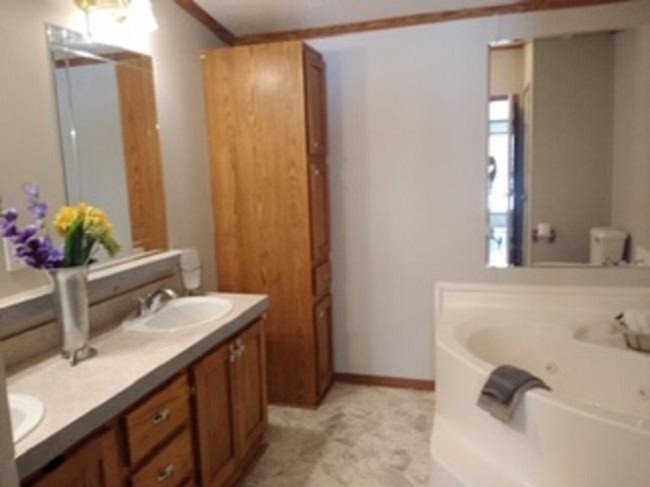 50495 Burlington Road Marcellus, MI 49067 - Photo 11 of 13 master bath