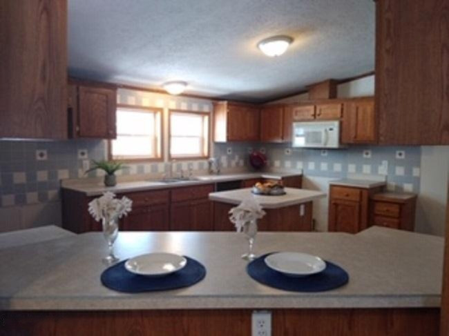 50495 Burlington Road Marcellus, MI 49067 - Photo 6 of 13 kitchen 5