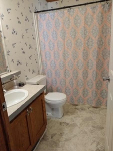 50495 Burlington Road Marcellus, MI 49067 - Photo 10 of 13 main bath