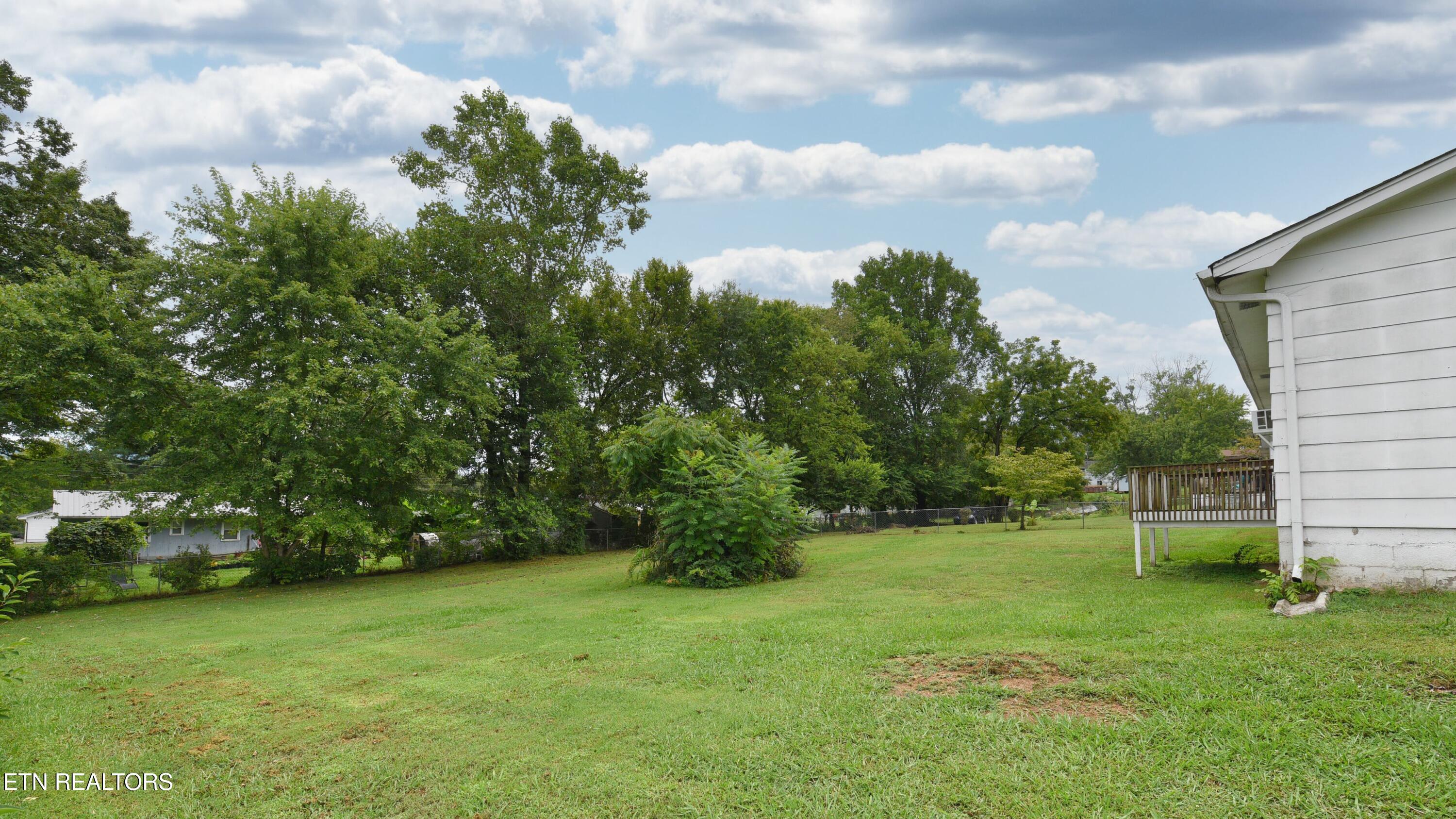 116 Blue Ridge Lane Seymour, TN 37865 - Photo 14 of 18 SL8_8004