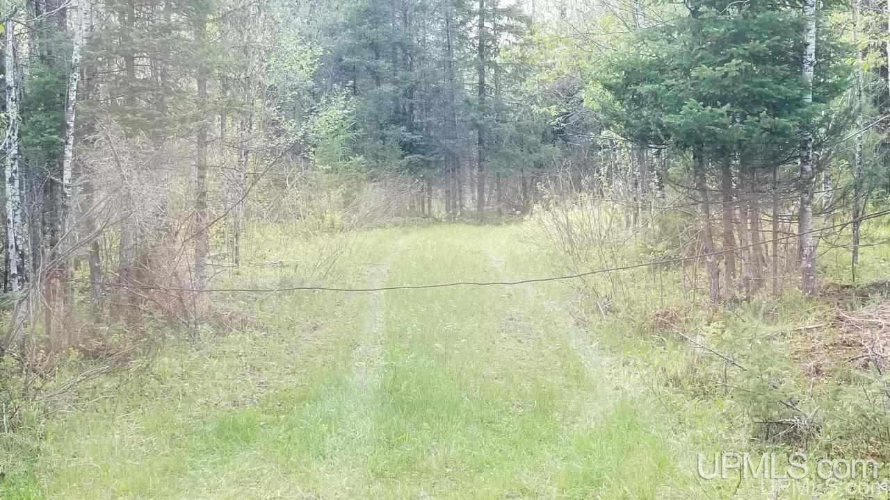 Tbd Fr 3470 Road Iron River, MI 49935 - Photo 17 of 31