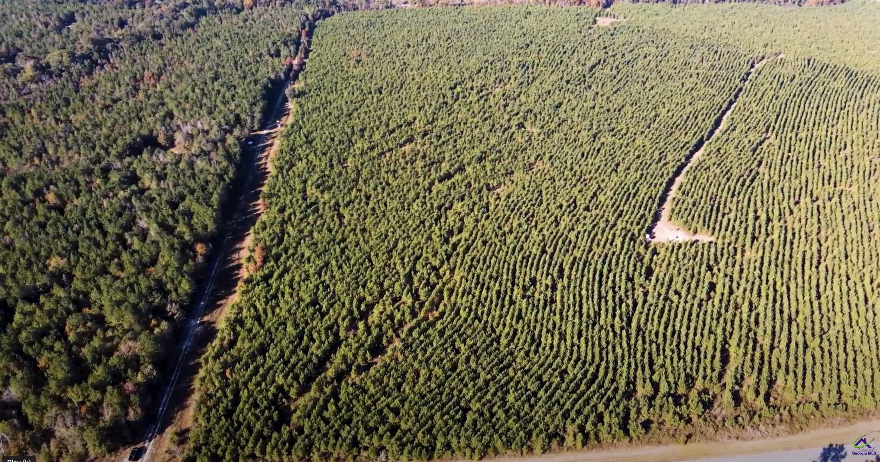 Lot 1 Whitfield Road Elko, GA 31025 - Photo 2 of 4