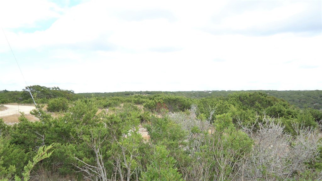 229 Pinon Loop East Camp Wood, TX 78833 - Photo 4 of 24