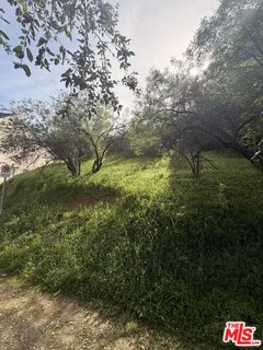 a backyard of a house