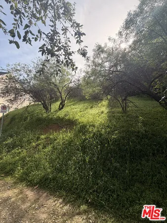a backyard of a house
