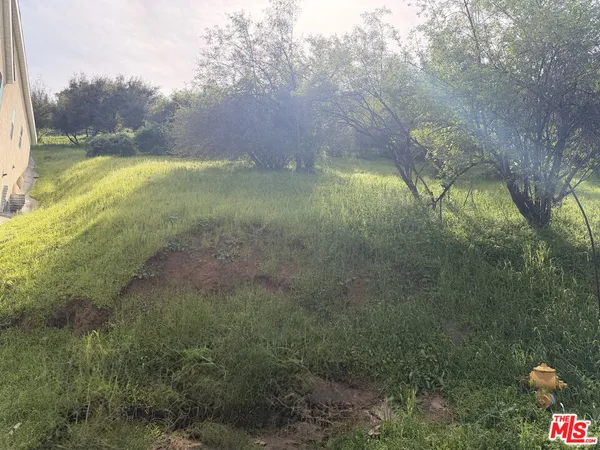 a view of a yard