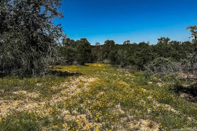 a view of a lake with houses in the background