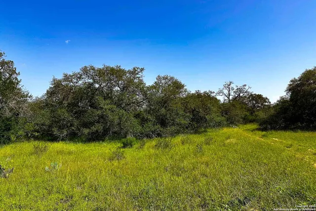 a view of outdoor space with garden