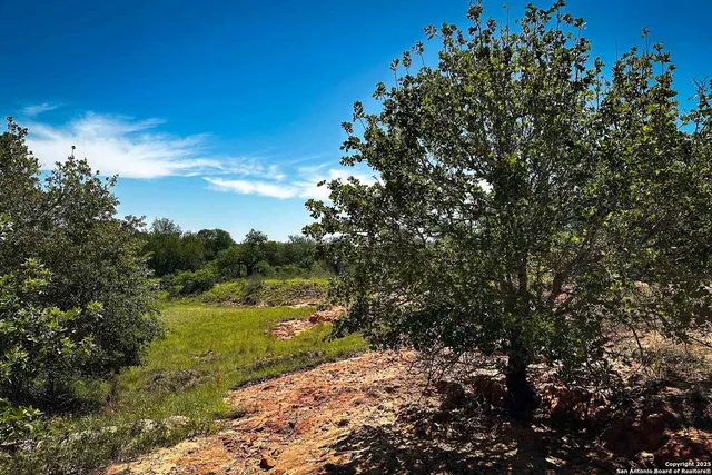 a view of yard with green space and seating